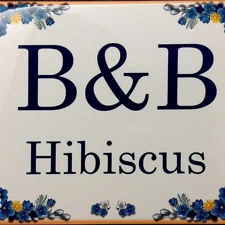 B&B Hibiscus Порто-Сант'Эльпидио Экстерьер фото